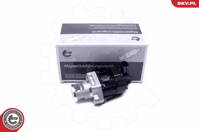 EGR Valve